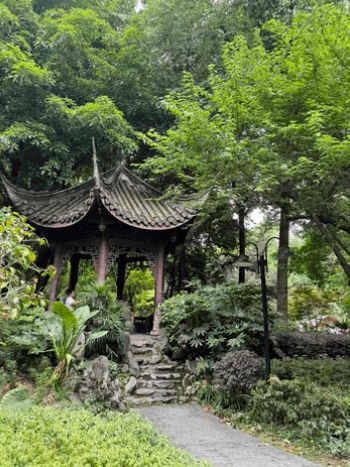 Chengdu's Hidden Gems