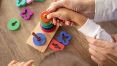 Selecting Educational Toys That Encourage Curiosity and Creativity