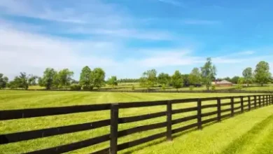 What to Know Before You Fence Your Acreage or Hobby Farm